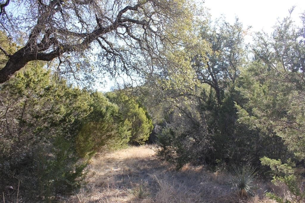 50 acres in Texas County - photo 6