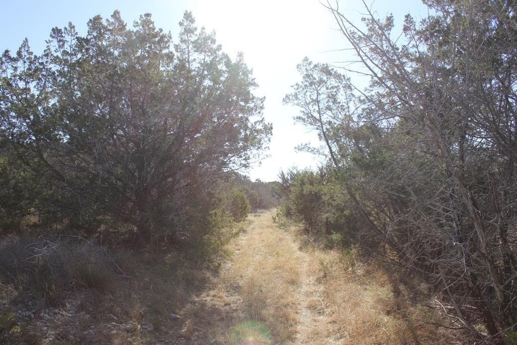 50 acres in Texas County - photo 10