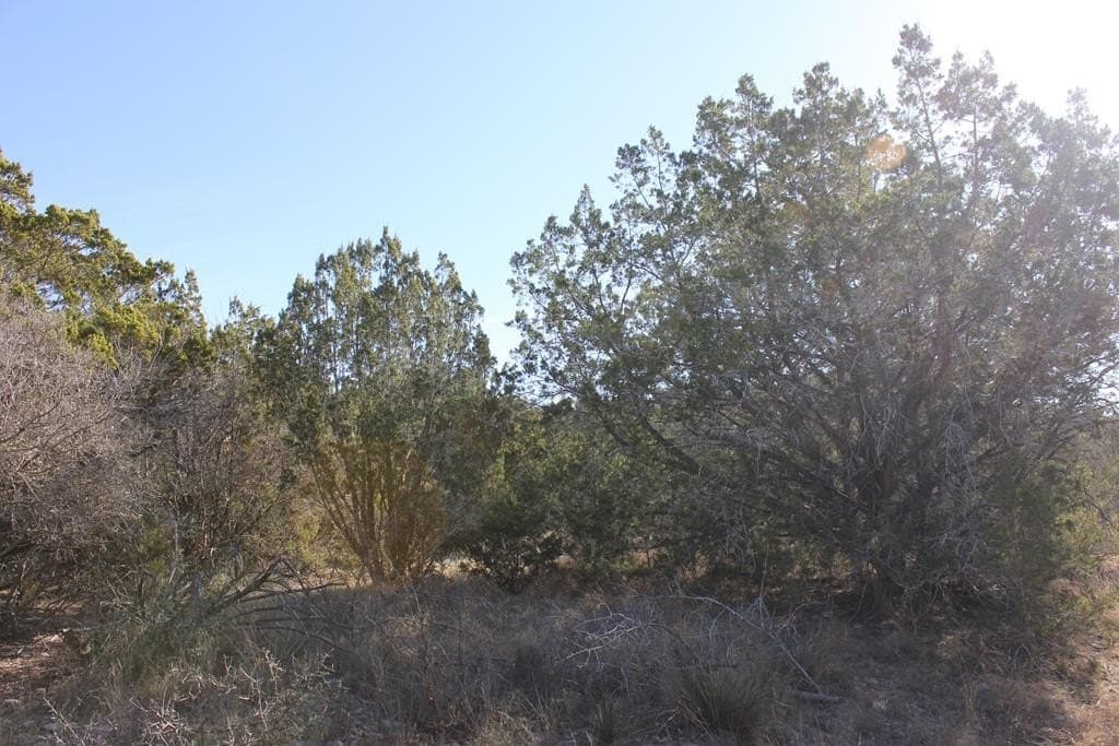 50 acres in Texas County - photo 11