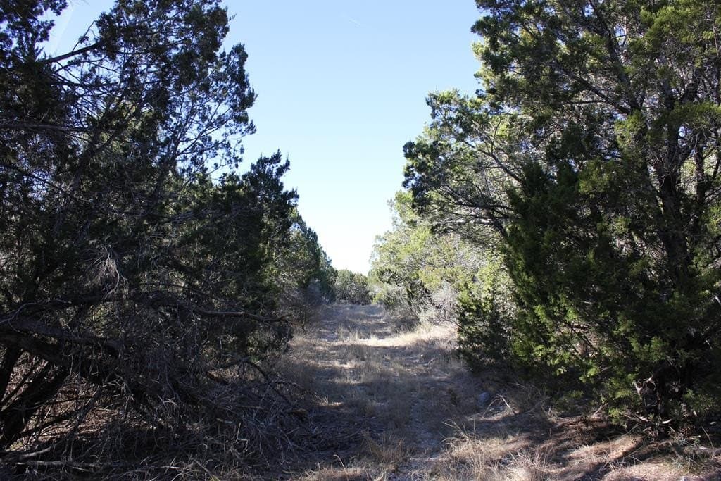50 acres in Texas County - photo 7