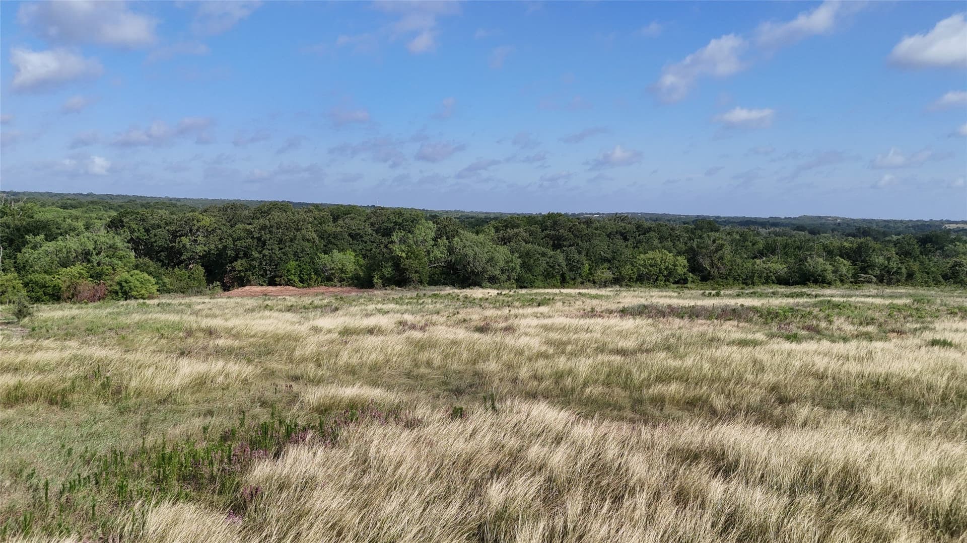 44.89 acres in Erath County - photo 9