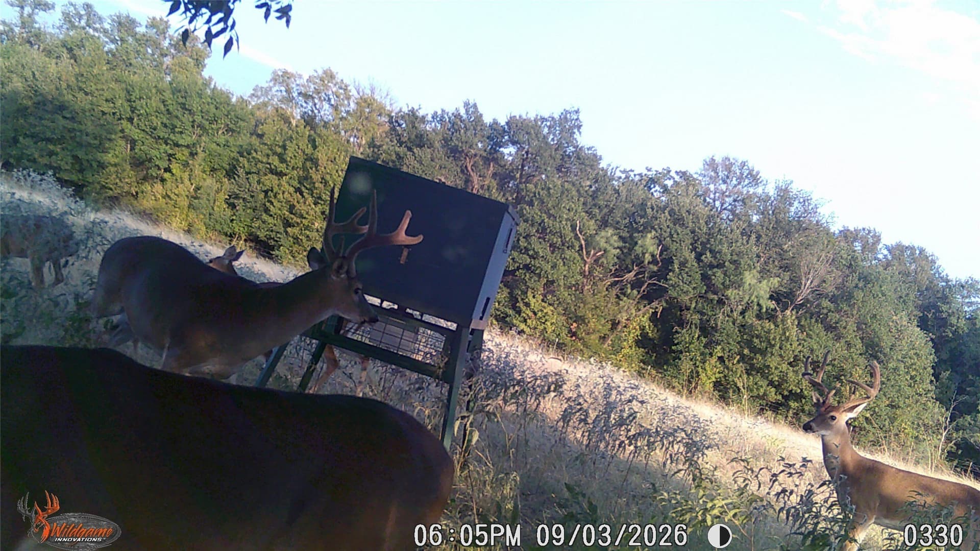 44.89 acres in Erath County - photo 28