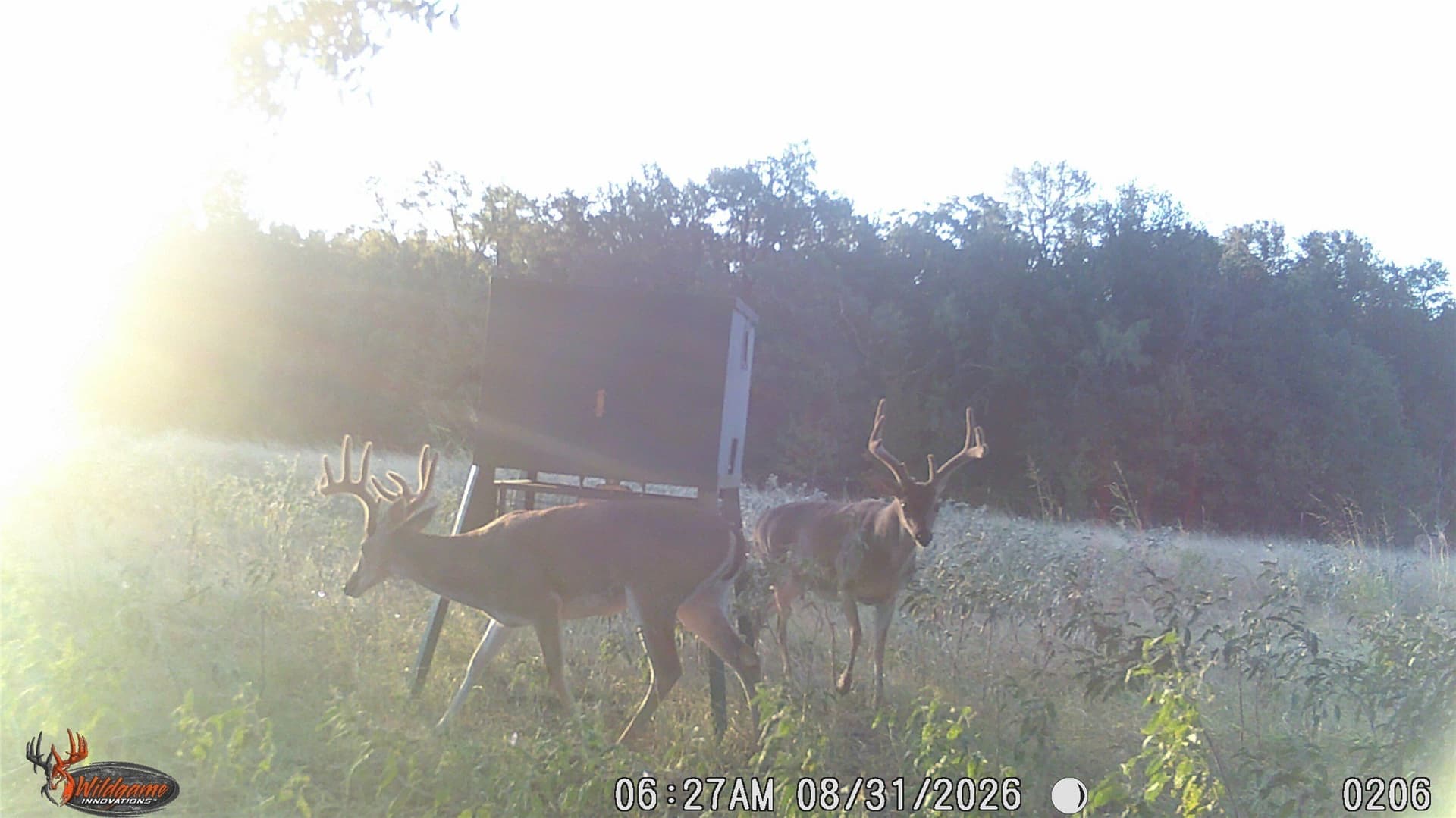 44.89 acres in Erath County - photo 25