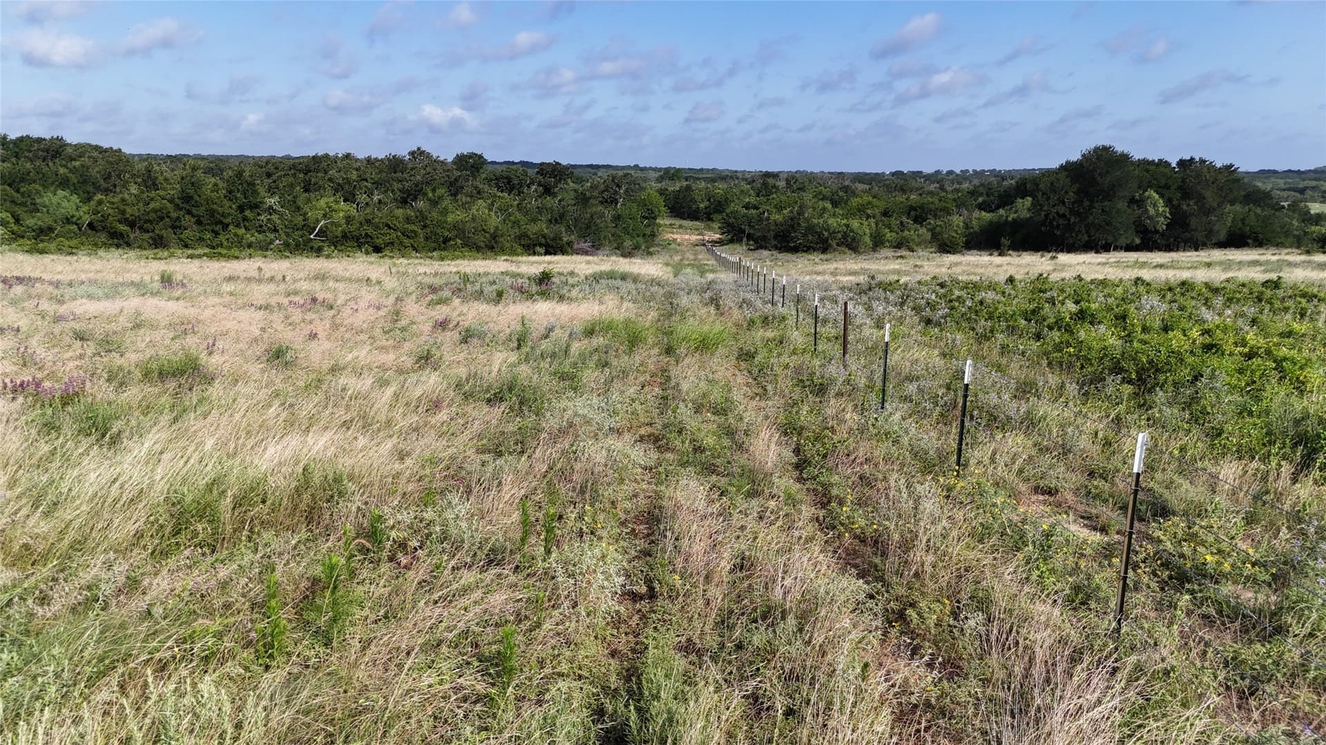 44.89 acres in Erath County - photo 7