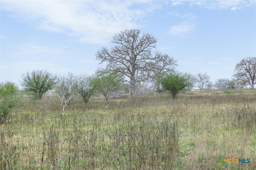 44.97 acres in Gonzales County - photo 28