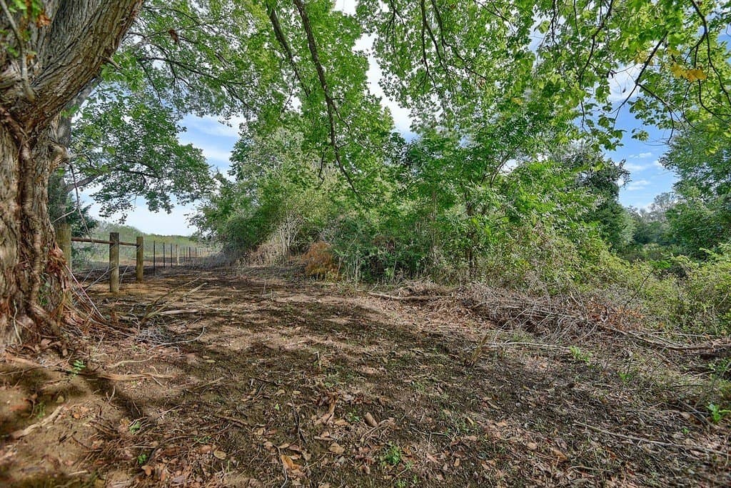 10.1 acres in Lee County gallery image 3