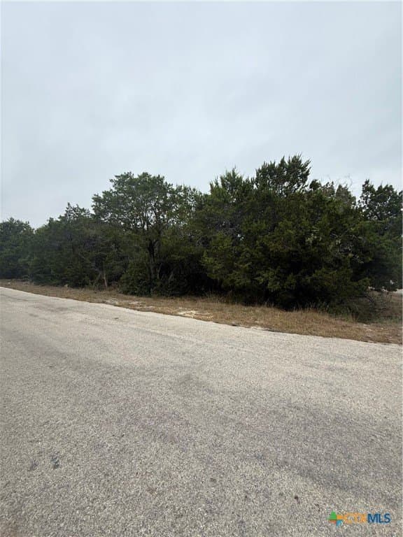 0.17 acres in Comal County gallery image 4