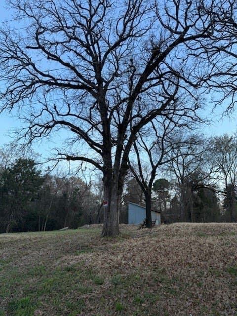 0.5 acres in Henderson County gallery image 3