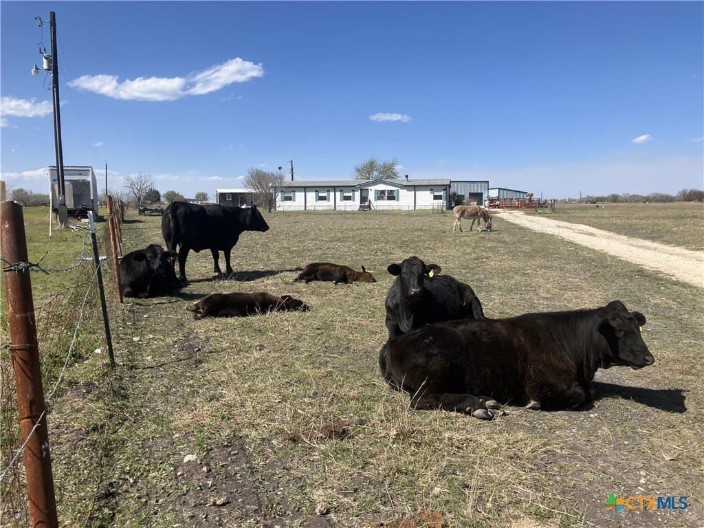 10.42 acres in Guadalupe County gallery image 2