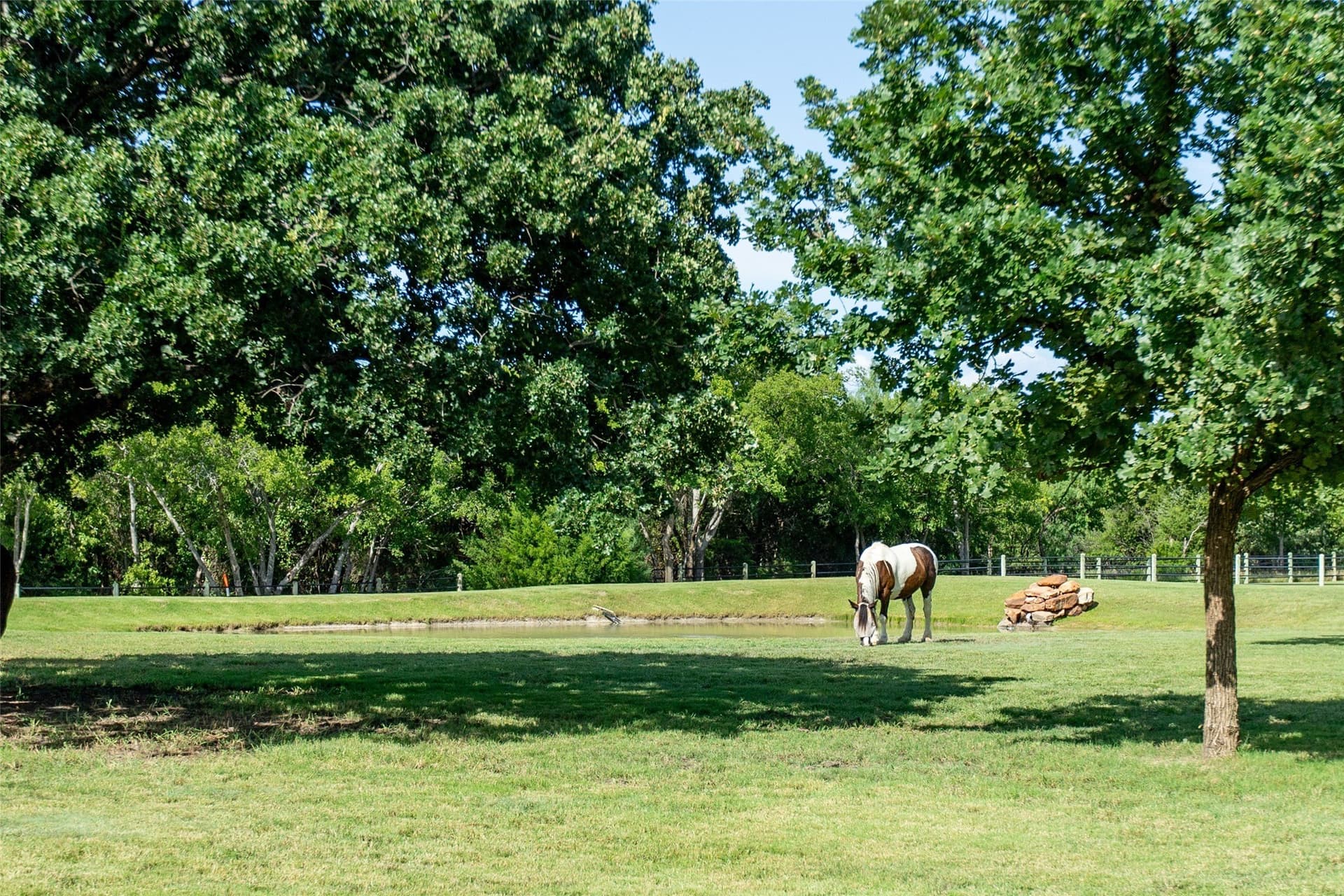 5.54 acres in Denton County - photo 37