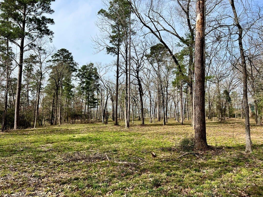 3.48 acres in Texas County gallery image 4