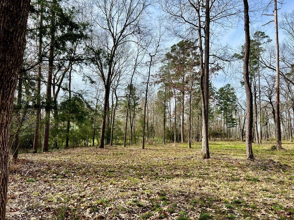 3.48 acres in Texas County gallery image 3