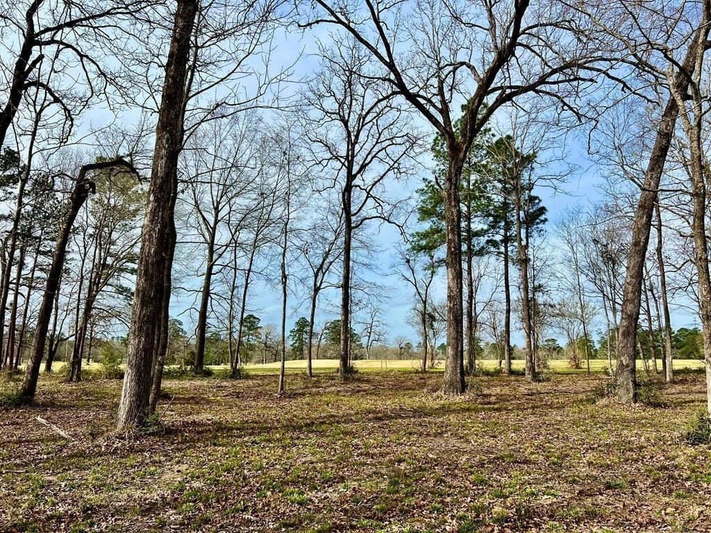 3.48 acres in Texas County gallery image 2