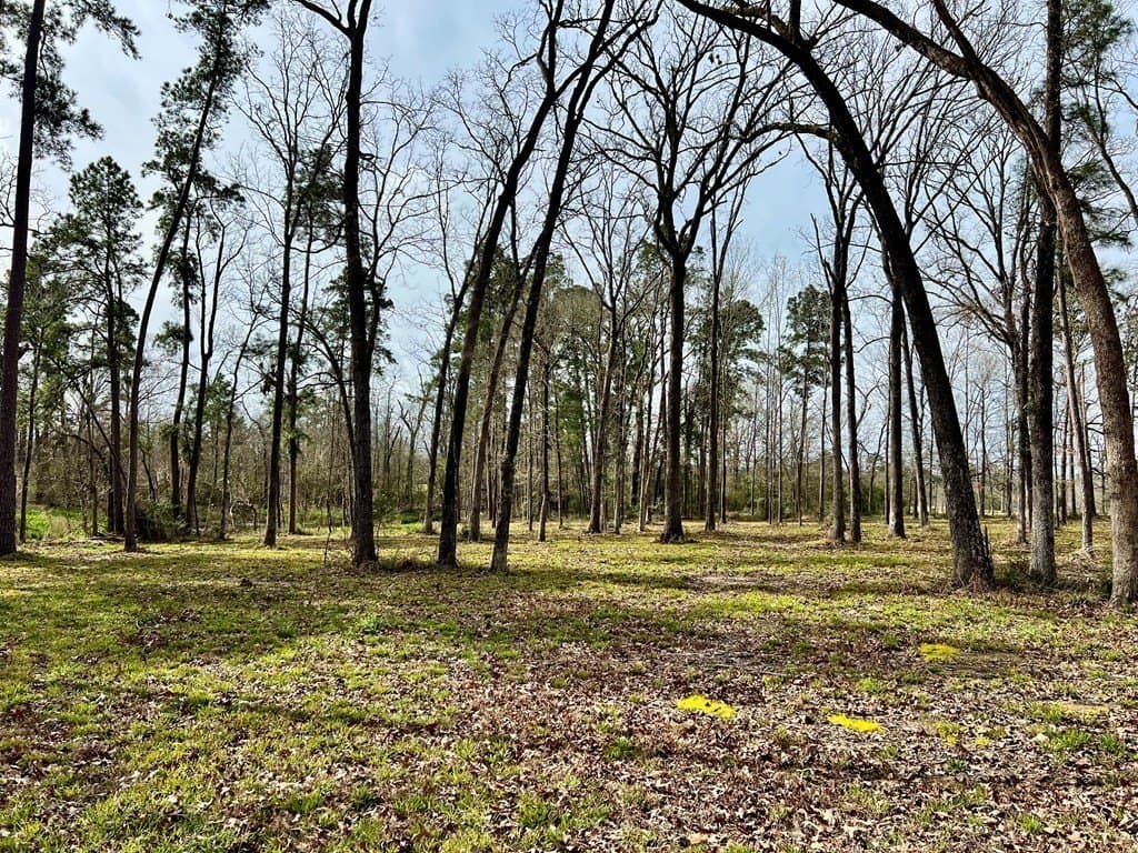 3.48 acres in Texas County featured view