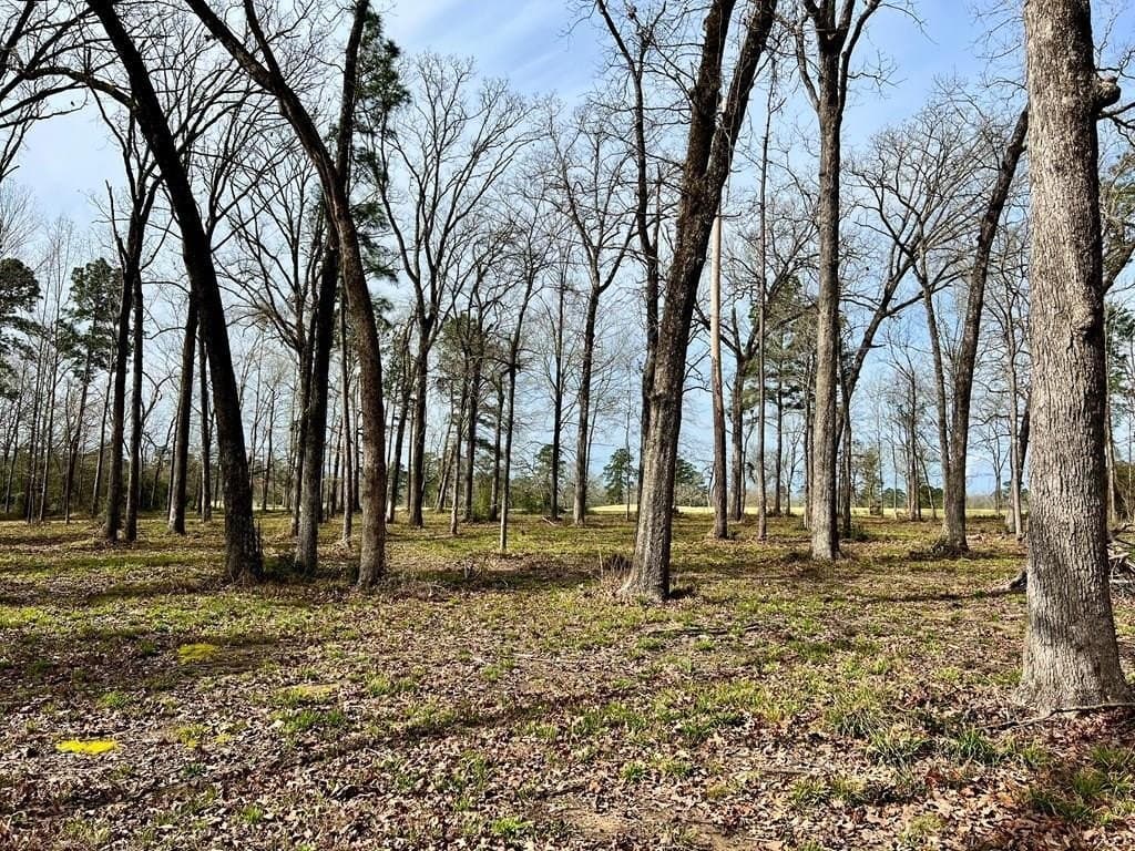 3.48 acres in Texas County