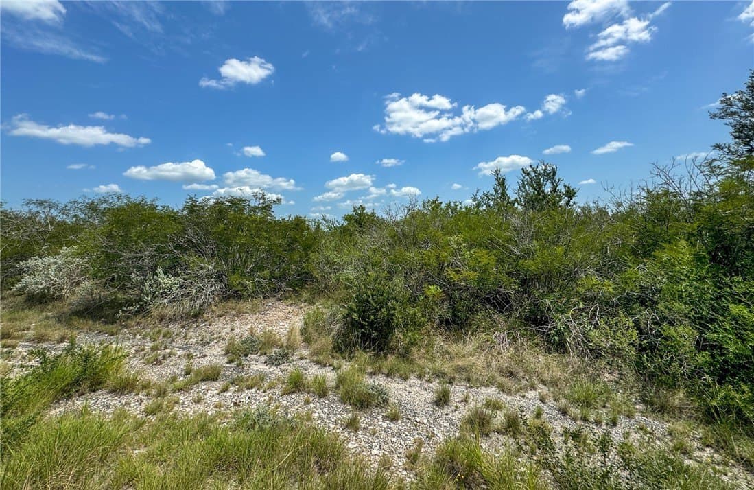 1.5 acres in Live Oak County - photo 9