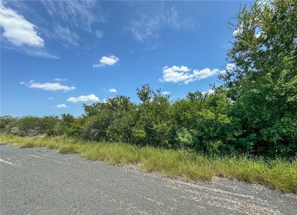 1.5 acres in Live Oak County - photo 6