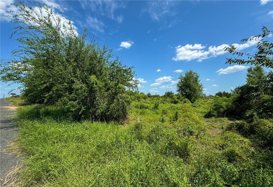 1.5 acres in Live Oak County - photo 8