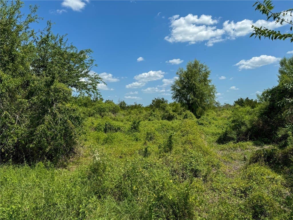 1.5 acres in Live Oak County - photo 7