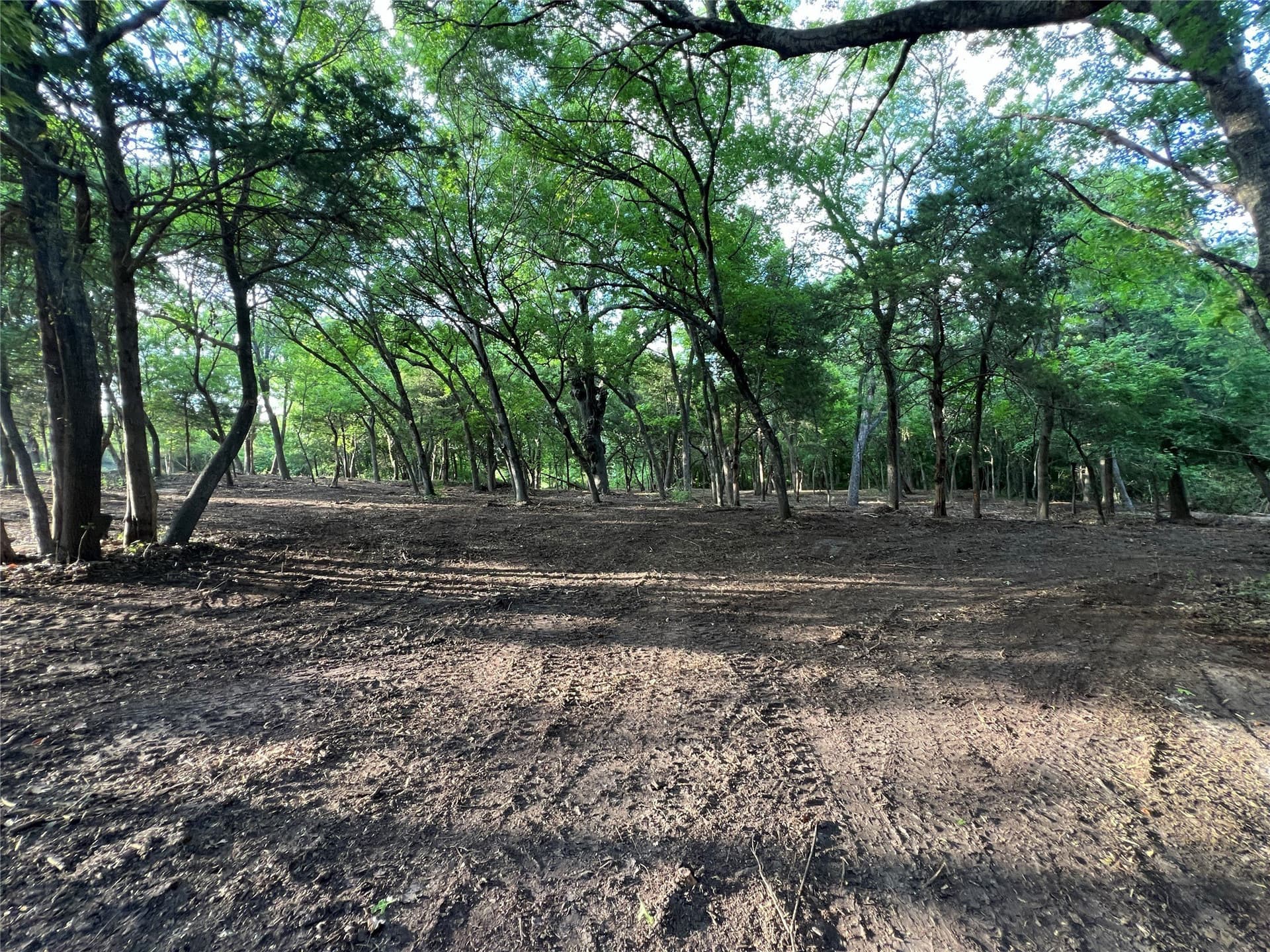 1.92 acres in Ellis County gallery image 4
