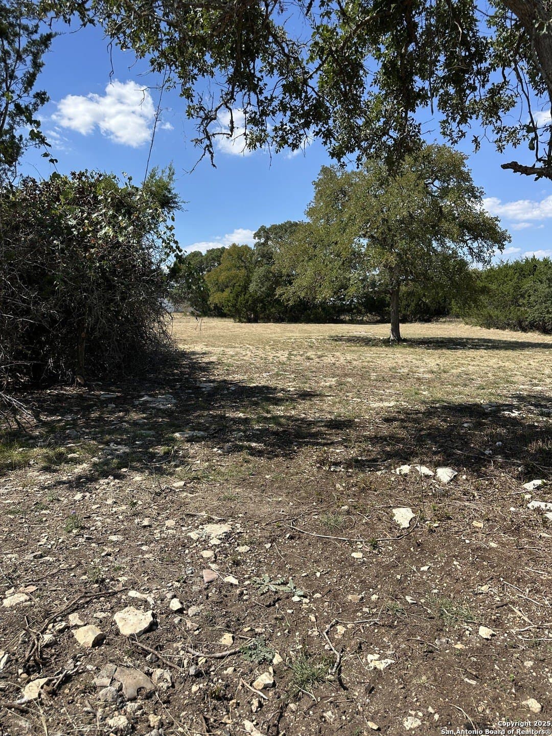 0.32 acres in Blanco County gallery image 4