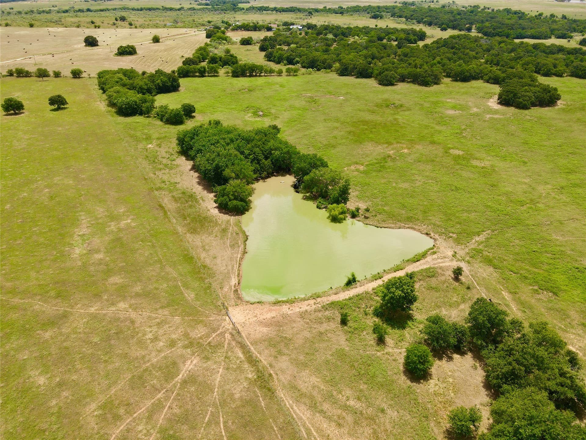 282.88 acres in Montague County gallery image 3