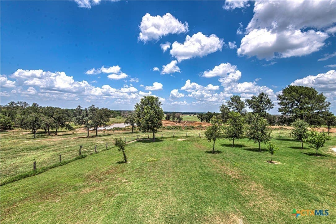 19.23 acres in Milam County gallery image 4