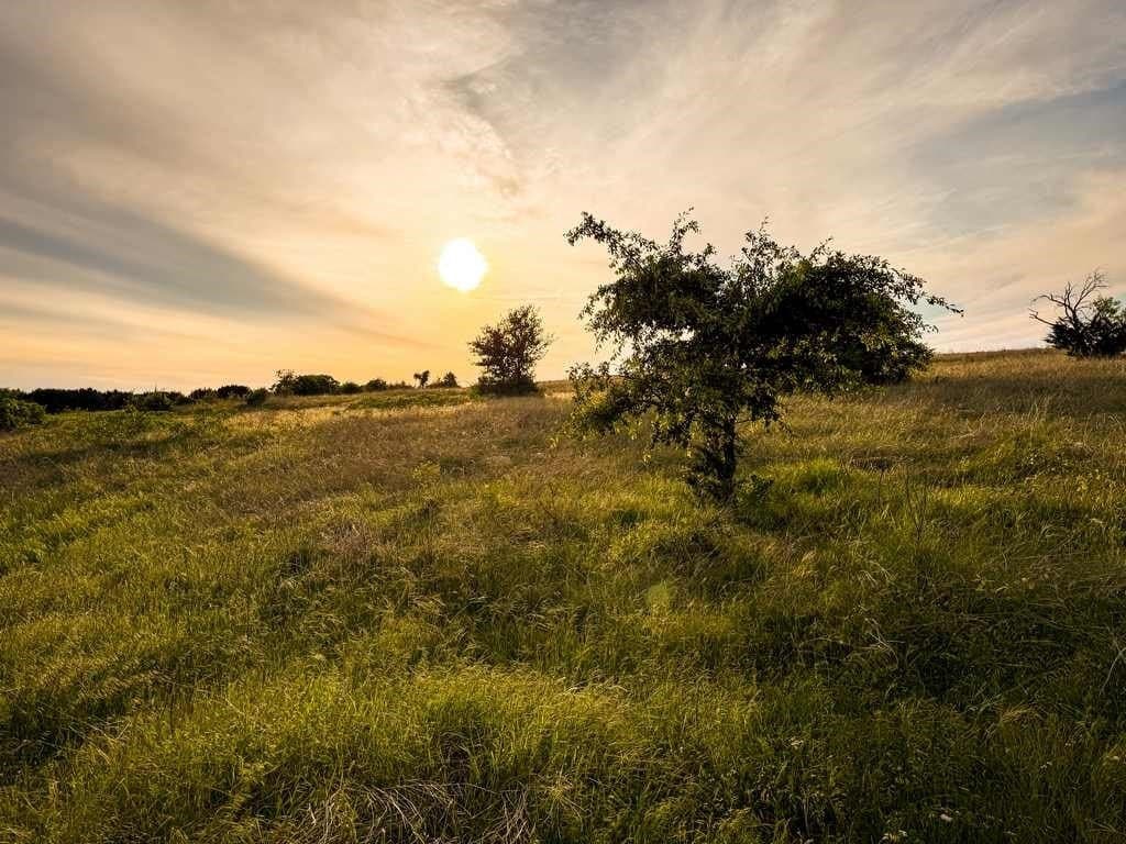 48 acres in Coryell County - photo 12