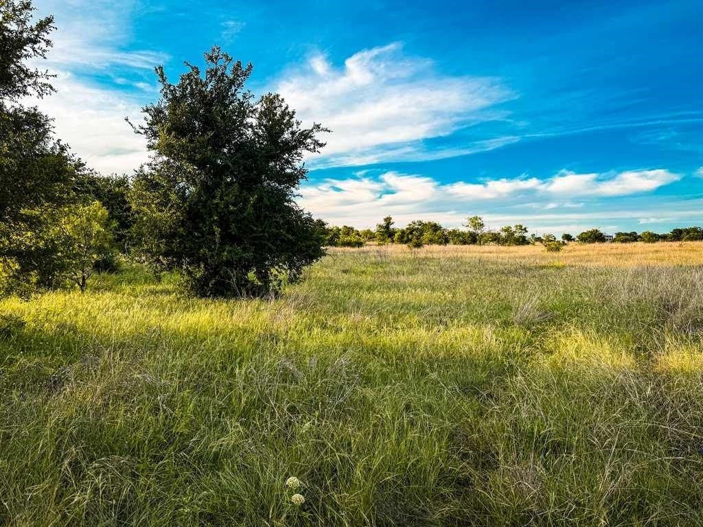48 acres in Coryell County - photo 15