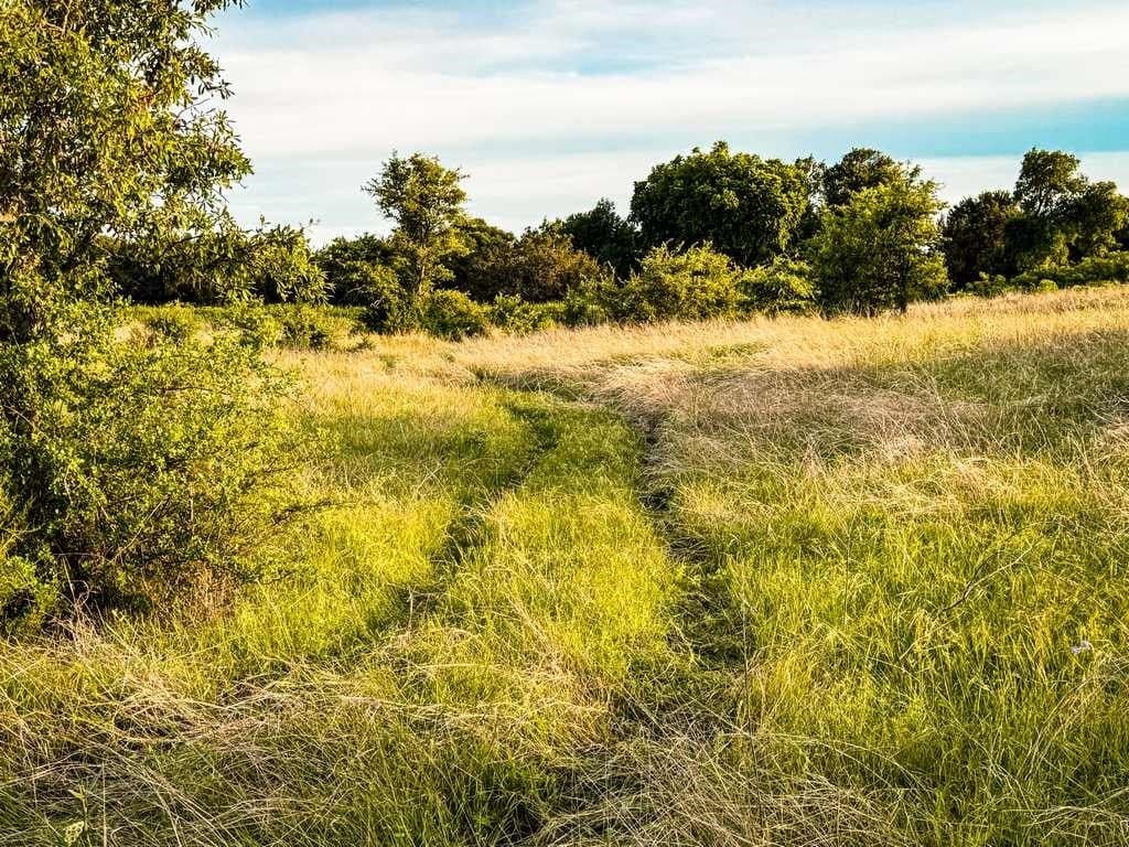 48 acres in Coryell County - photo 20