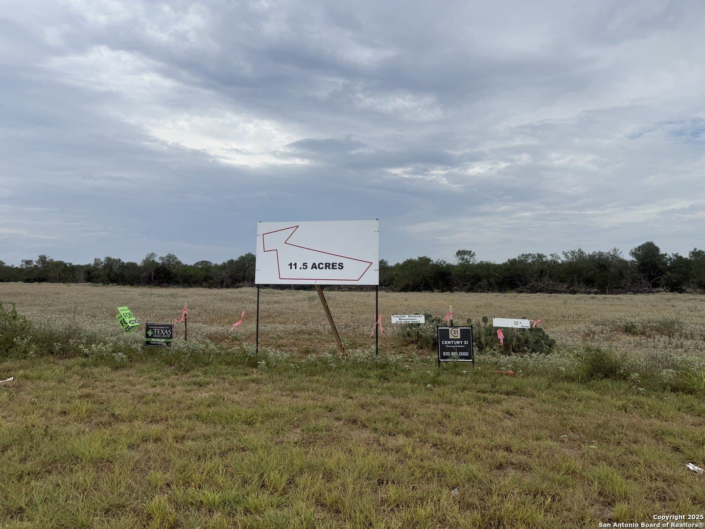 11.5 acres in Wilson County gallery image 4