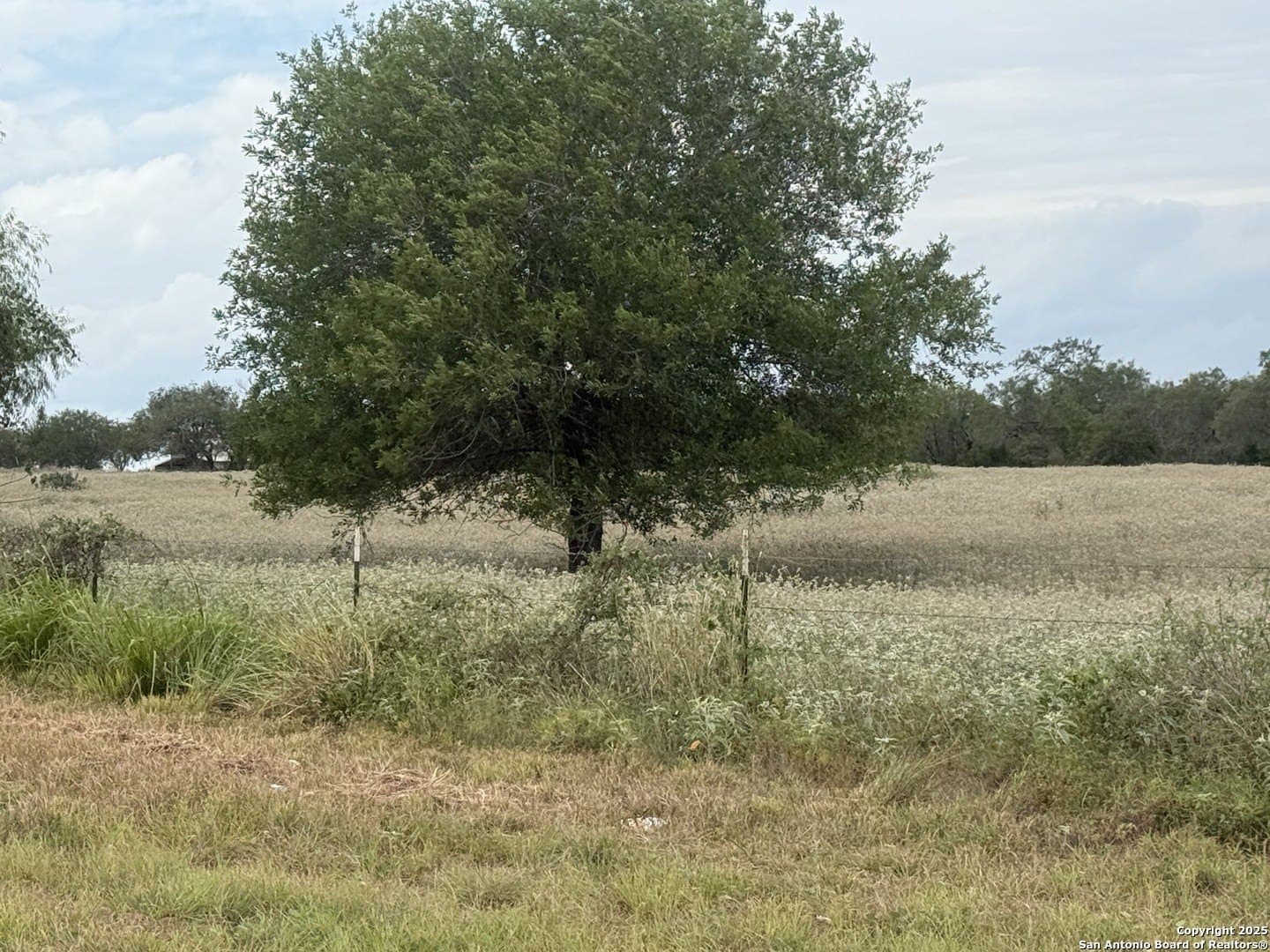 11.5 acres in Wilson County - photo 11