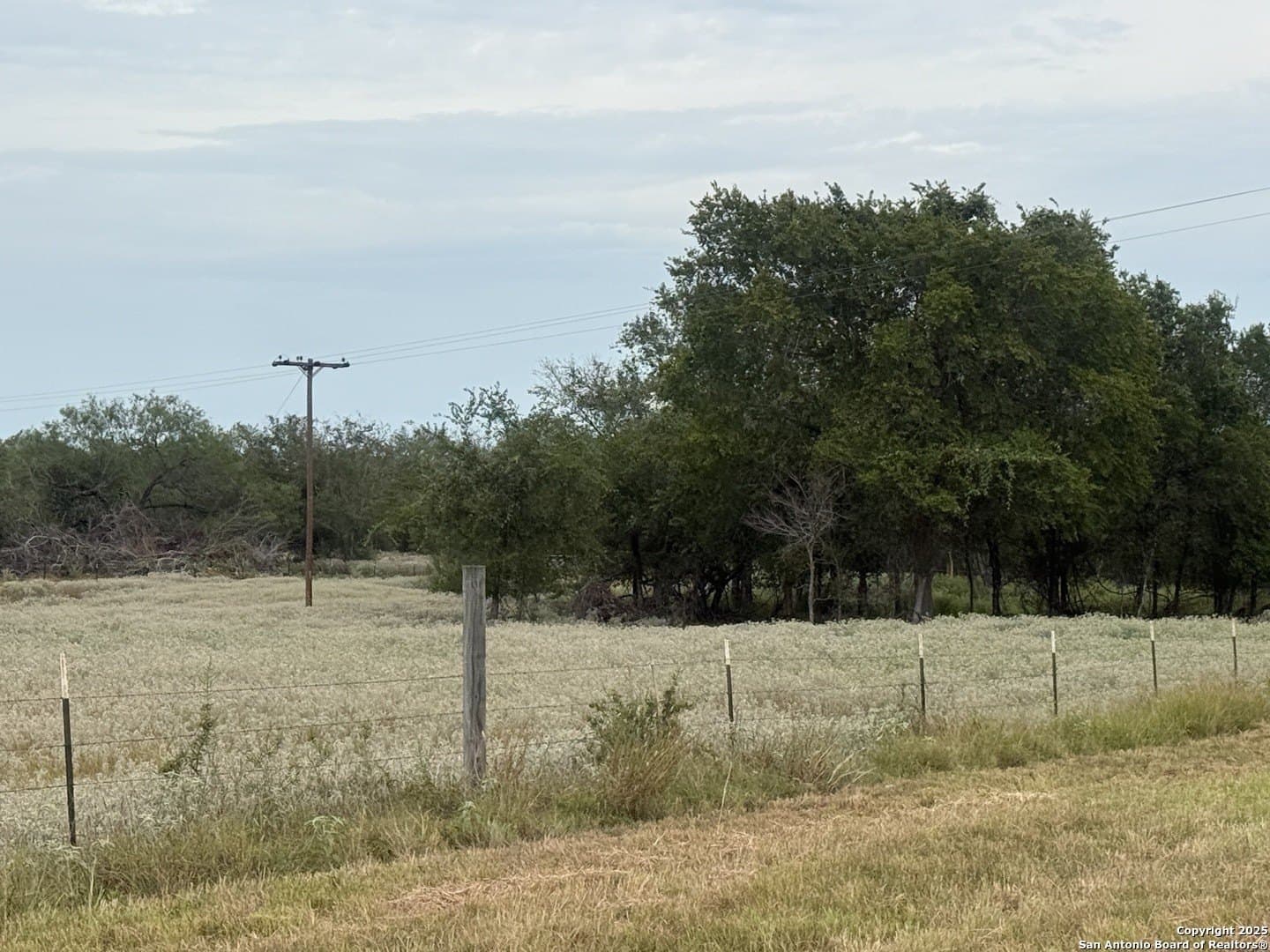 11.5 acres in Wilson County - photo 12