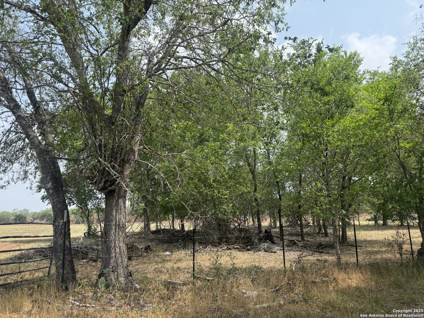 11.5 acres in Wilson County - photo 6