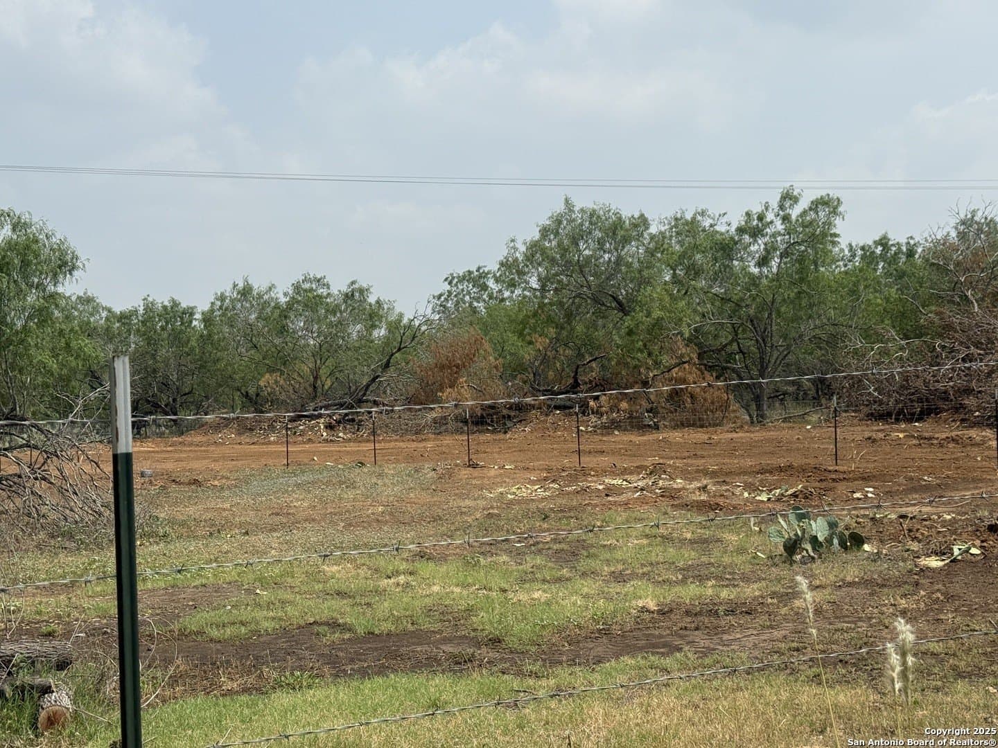 11.5 acres in Wilson County - photo 8