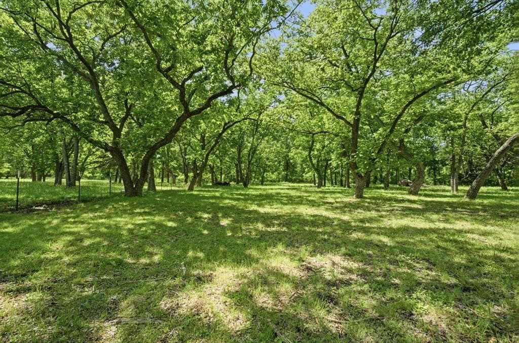 25.36 acres in Grayson County featured view