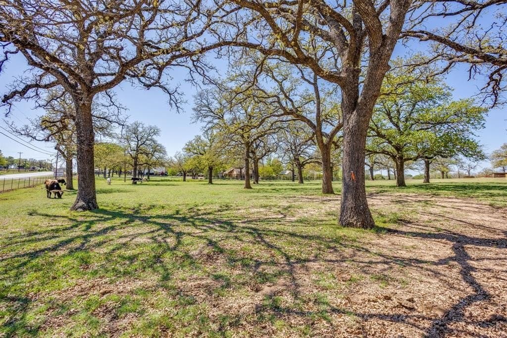 11.56 acres in Parker County featured view