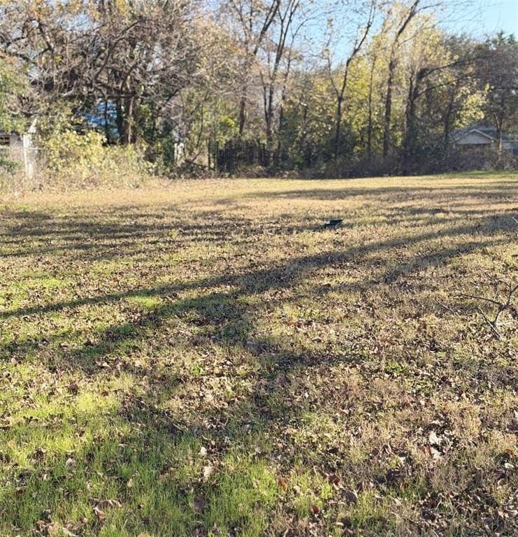 0.17 acres in Dallas County gallery image 3