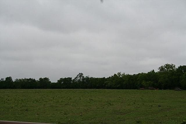 23.66 acres in Fannin County gallery image 4