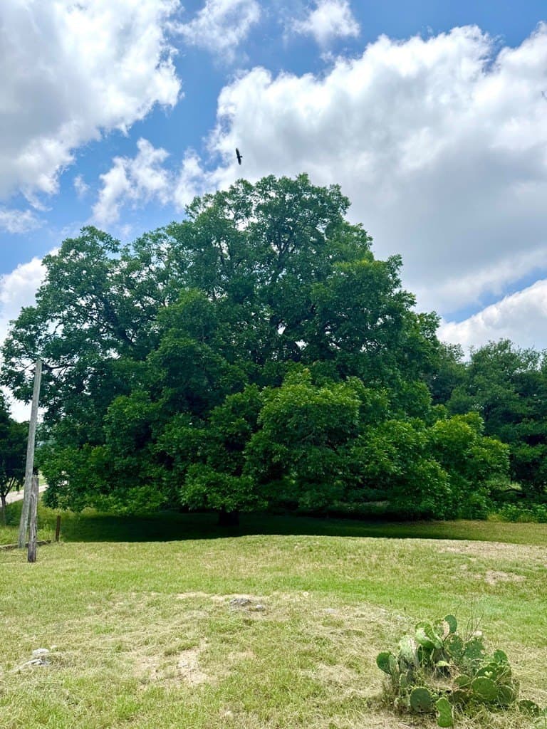 1.62 acres in Real County - photo 10