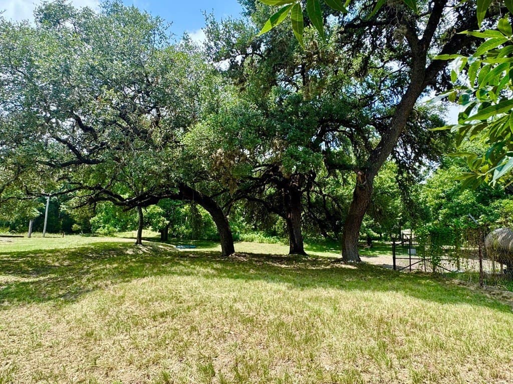 1.62 acres in Real County gallery image 3