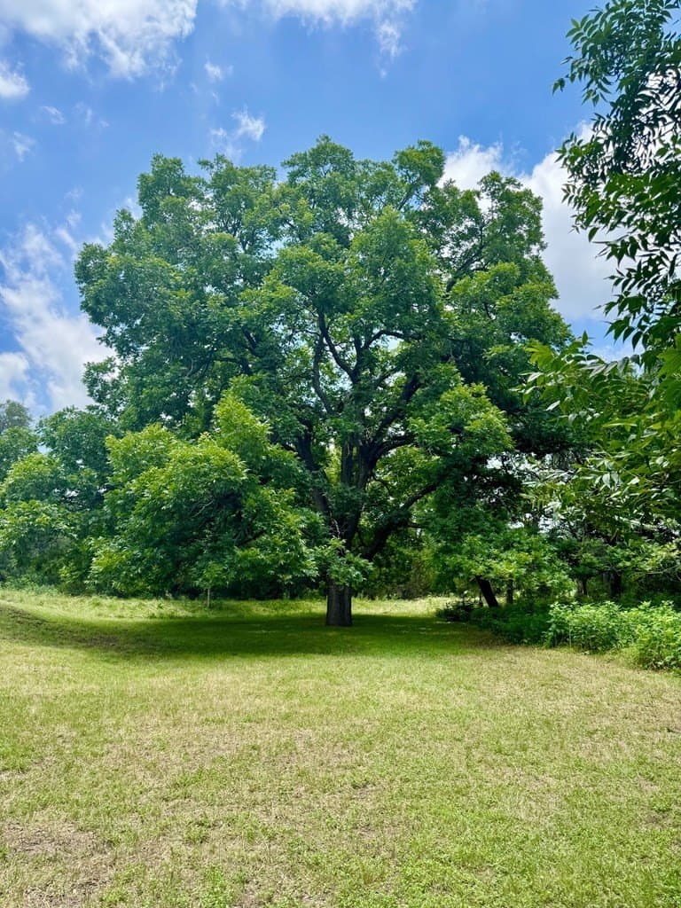 1.62 acres in Real County featured view