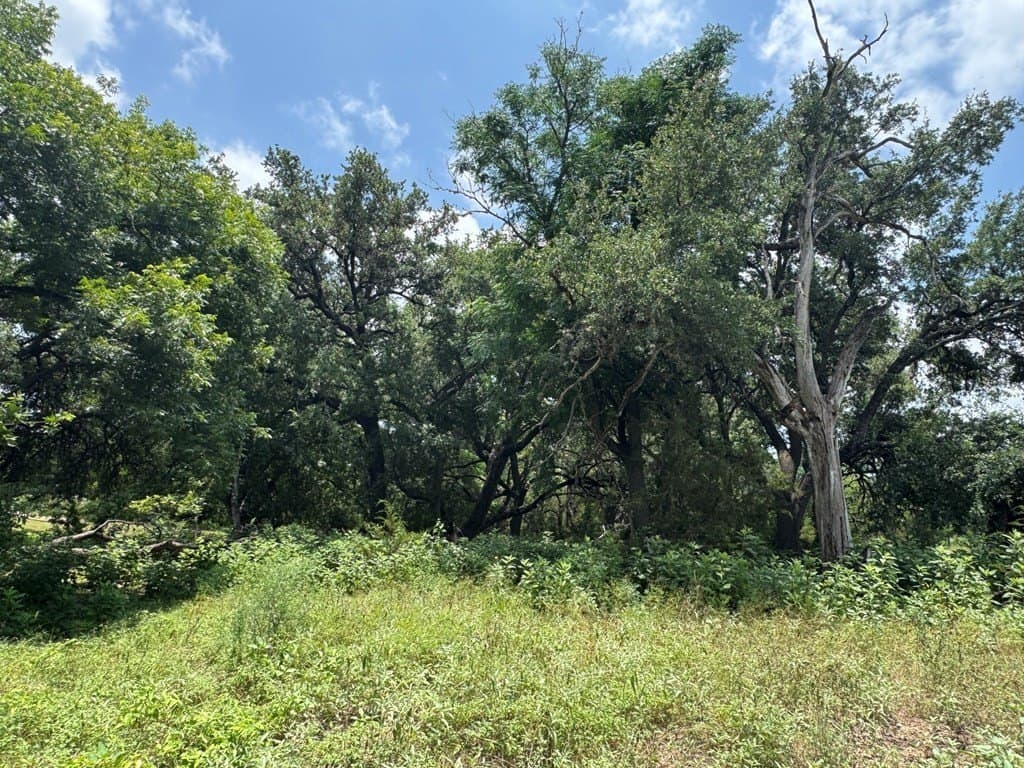1.62 acres in Real County - photo 6