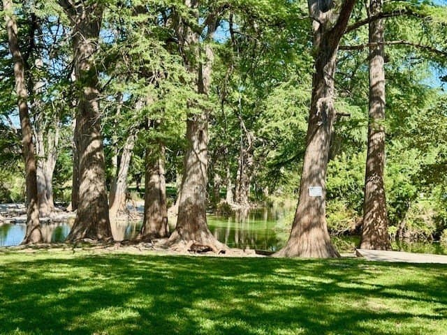 1.62 acres in Real County - photo 23
