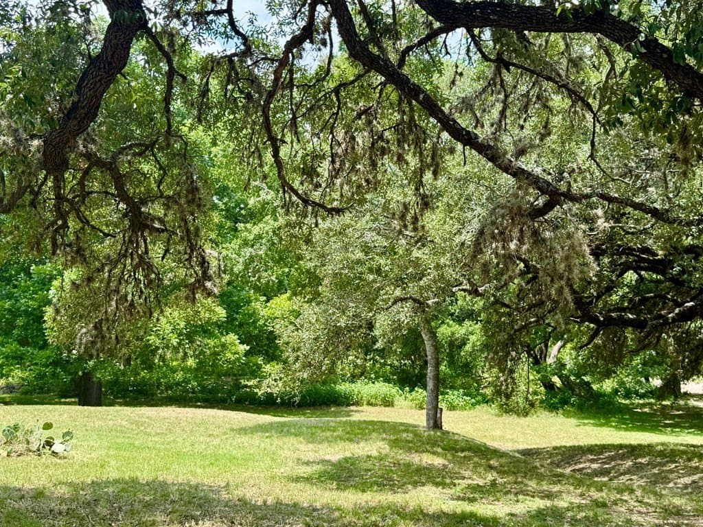 1.62 acres in Real County - photo 19