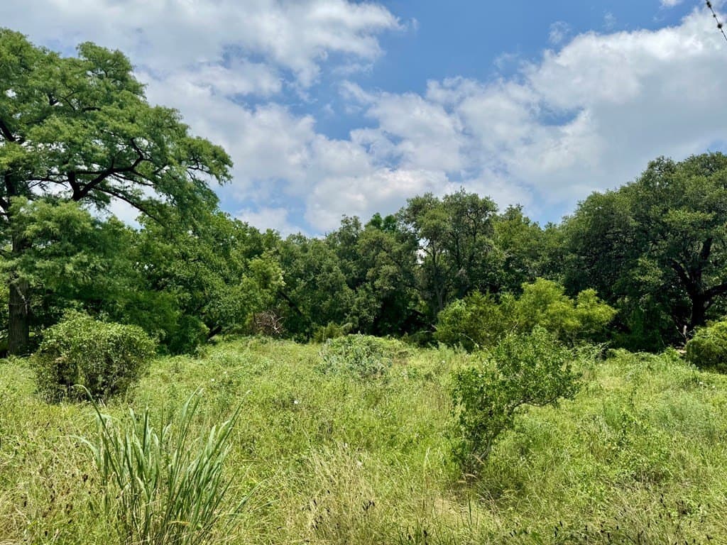 1.62 acres in Real County - photo 8