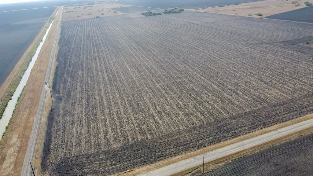 81.94 acres in San Patricio County gallery image 3