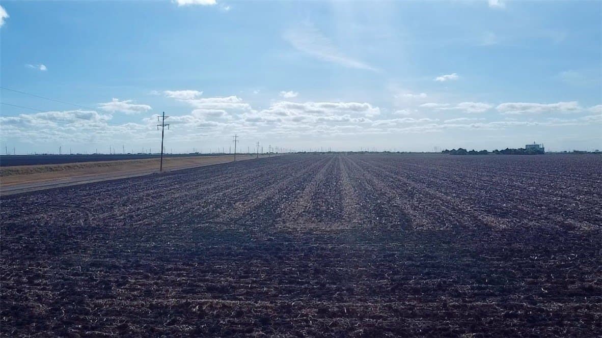 81.94 acres in San Patricio County gallery image 2