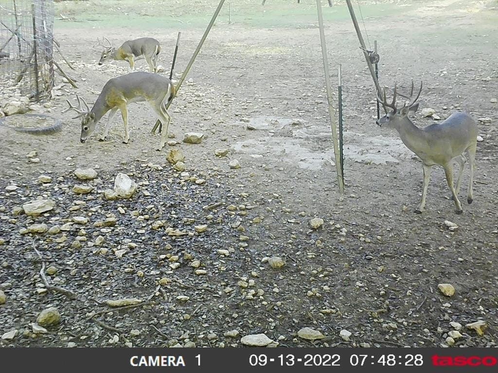 25 acres in Edwards County - photo 16