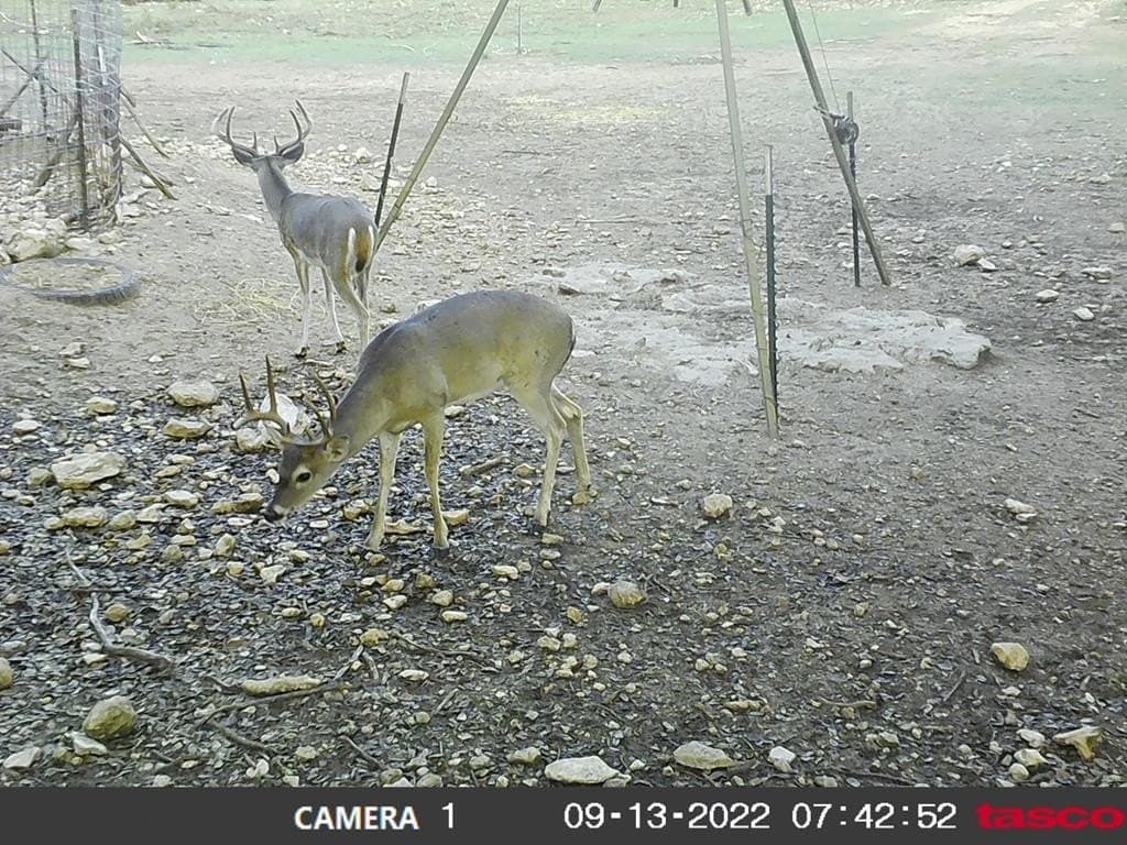 25 acres in Edwards County - photo 18